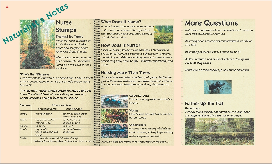 ElsieKingTrailSign4a