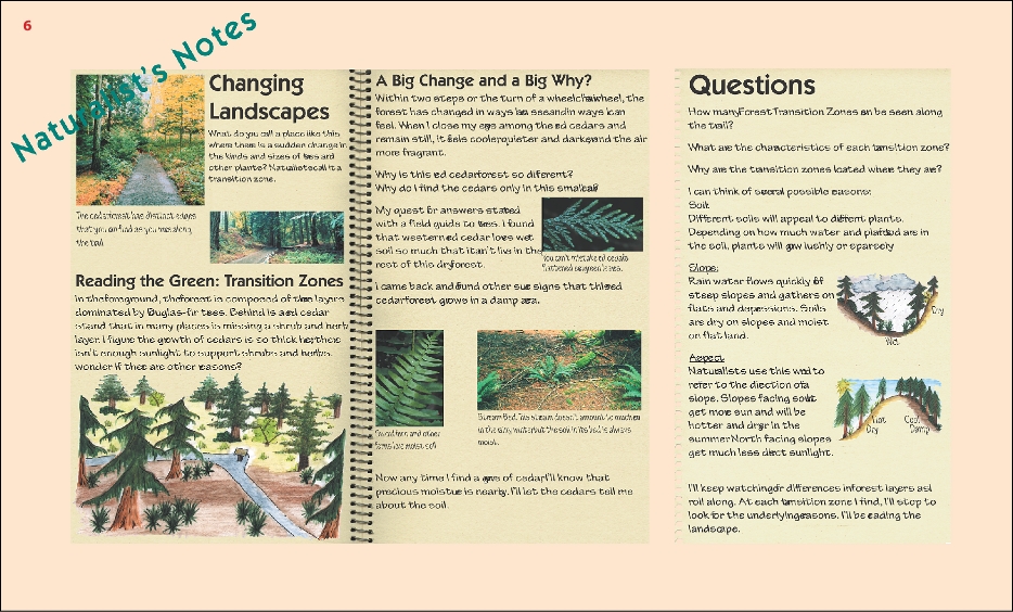 ElsieKingTrailSign6a