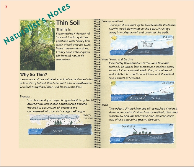 ElsieKingTrailSign7a