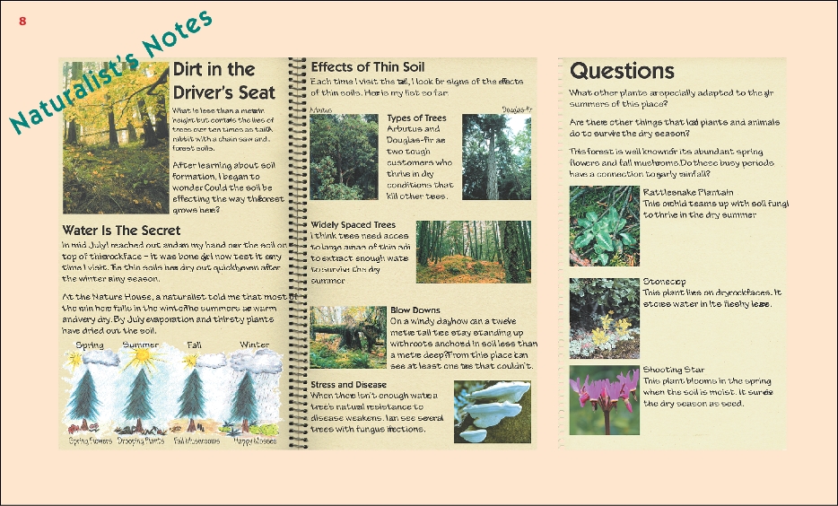 ElsieKingTrailSign8a