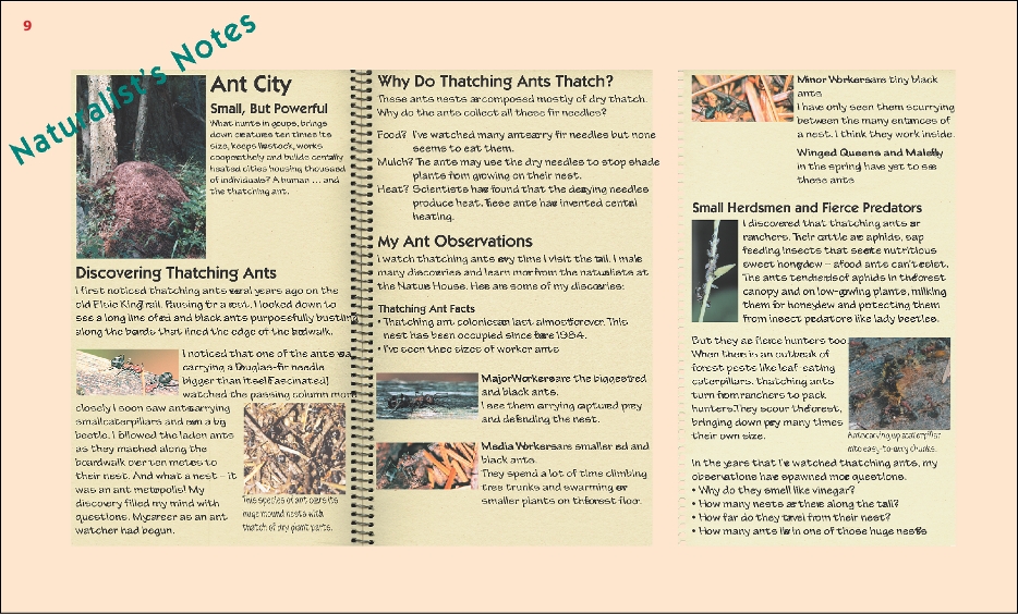 ElsieKingTrailSign9a