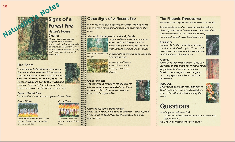 ElsieKingTrailSign10a