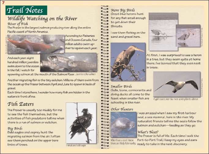 ForttoFortsignWildlife1